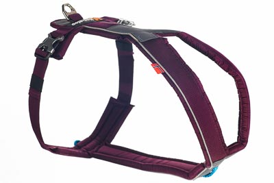 Sele Line Non-stop Dogwear - Bild 2