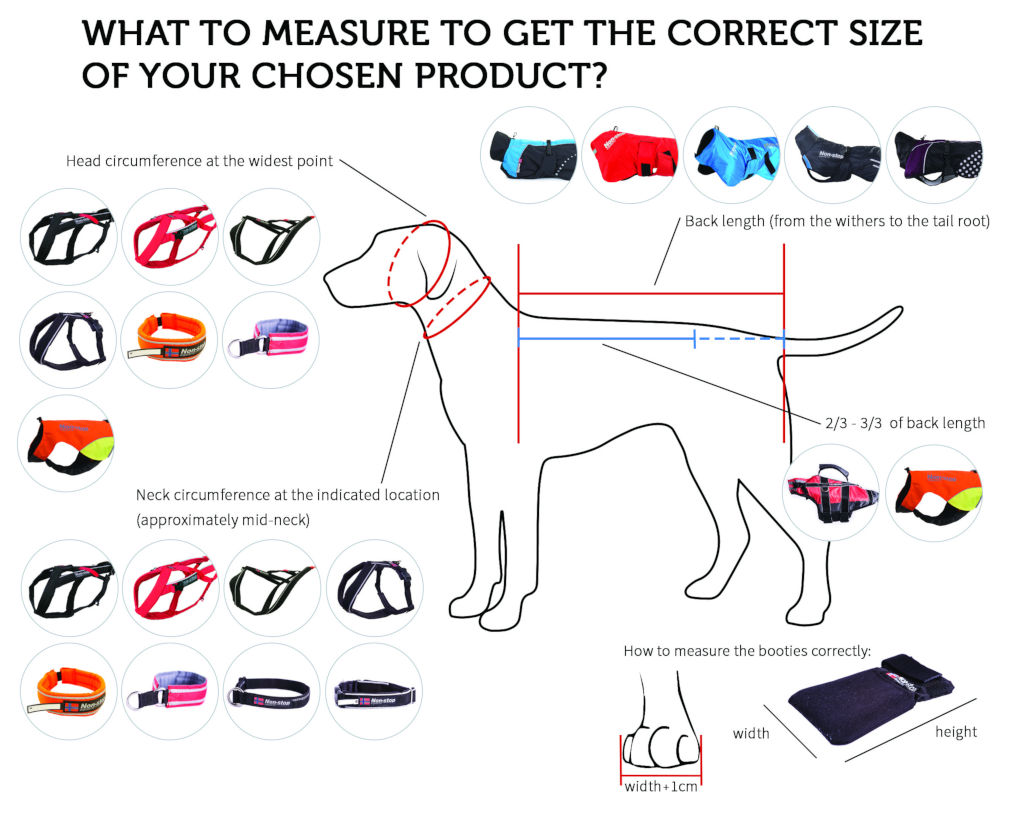 Sele Line Non-stop Dogwear - Bild 4