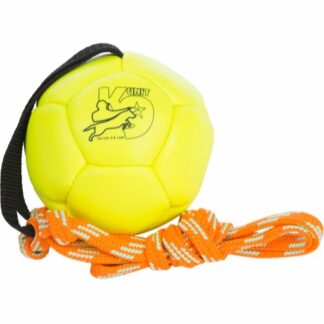 Bollar
