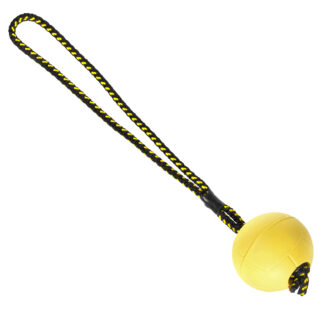 Boll med magnet - Dingo Gear