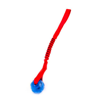 Elastisk KONG Squeezz-kampis