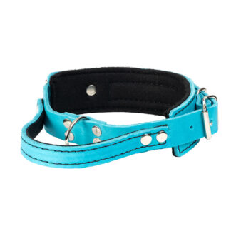 Hetshalsband Bill- Globus Sport