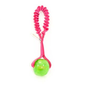 Elastisk KONG Squeezz-fickkampis