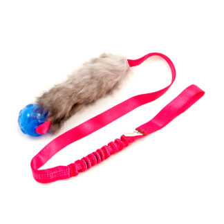 Elastisk fårskinnsjagarkampis L med KONG Squeezz pipboll